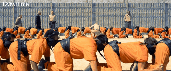 Human Centipede 3 21 GIF You don't have to shite (WTF Watch The Film Saint Pauly)