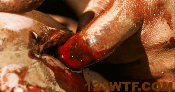 Revenge 31 GIF Got off on the wrong foot Watch The Film 123WTF Saint Pauly