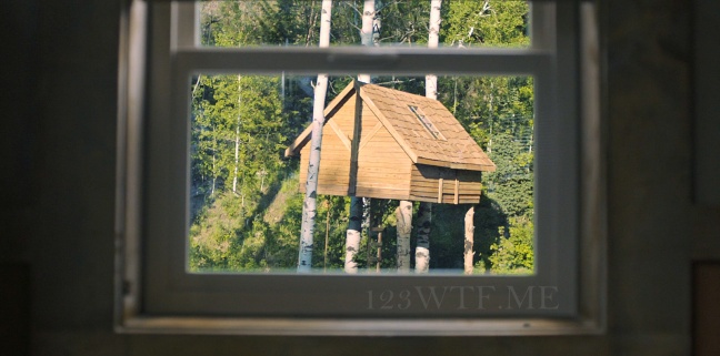 Hereditary 03 SC Tree houses are fore the birds WTF Watch The Film Saint Pauly