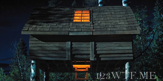 Hereditary 67 Cinematography That tree house is lit WTF Watch The Film Saint Pauly